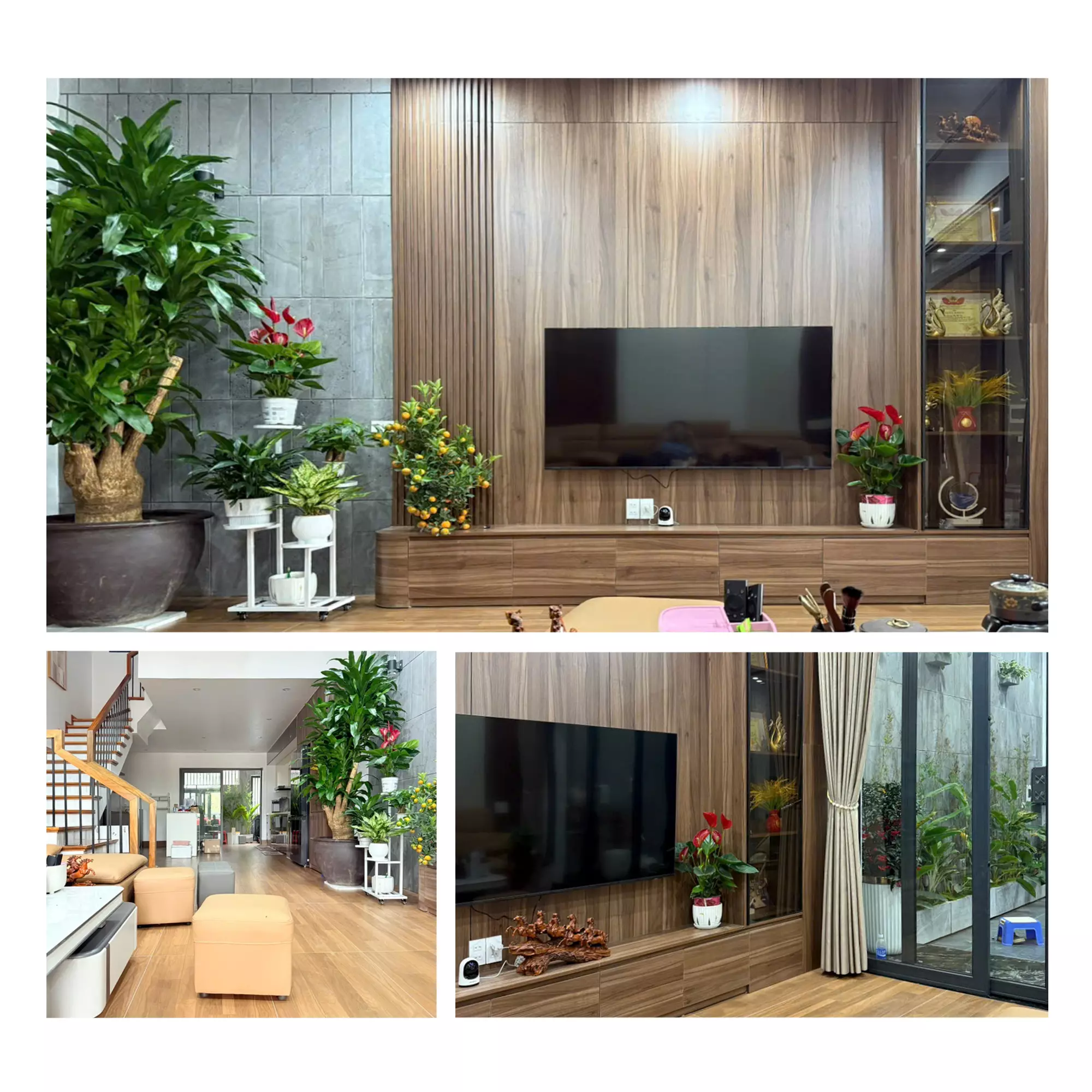 Hình ảnh công trình Q's House đã hoàn thiện