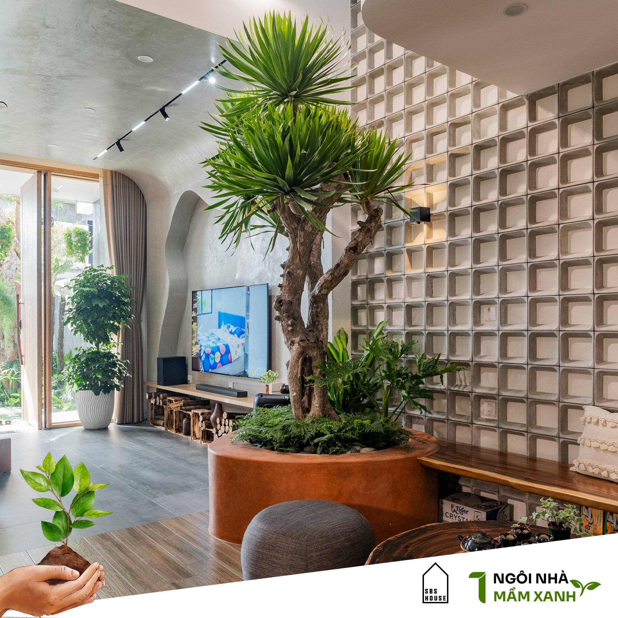 Mầm xanh được trao tặng dưới giếng trời đối với khách hàng xây nhà trọn gói cùng SBS HOUSE 